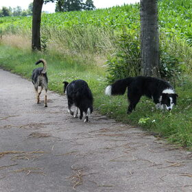 Lekker los wandelen