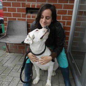 Hondenfoto van Melissa, Dempsey, Taiko, Minos & *Nina*