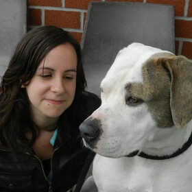 Hondenfoto van Melissa, Dempsey, Taiko, Minos & *Nina*