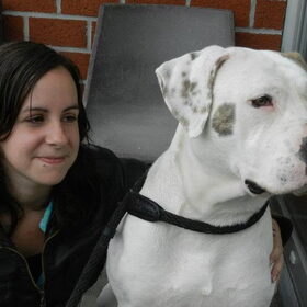 Hondenfoto van Melissa, Dempsey, Taiko, Minos & *Nina*