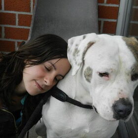 Hondenfoto van Melissa, Dempsey, Taiko, Minos & *Nina*
