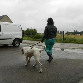 Hondenfoto van Melissa, Dempsey, Taiko, Minos & *Nina*