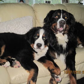 Kay en Diesel