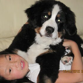 Diesel en Larissa