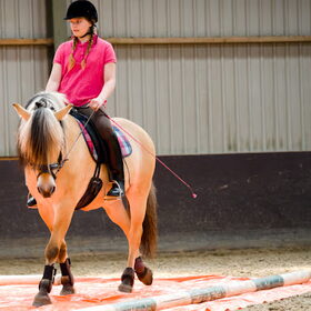 onze dochter met mijn andere hobby me paardje