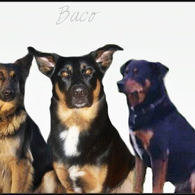 familiefoto mama bbobby baco en pappa marco