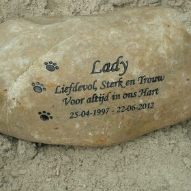 Hondenfoto van Missy & Lady † 