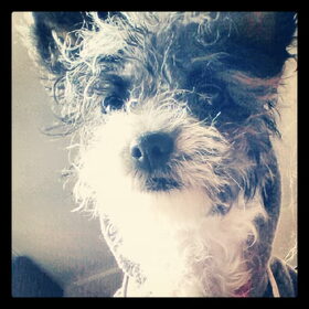 net uit bad