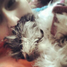 Hondenfoto van Roos & Pip