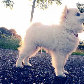3 maanden:)