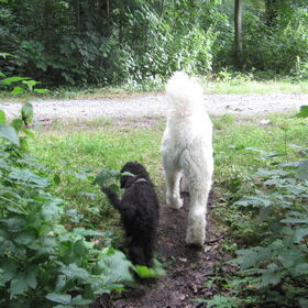 twee doodle kontje's :)
