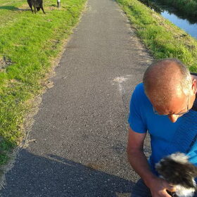 iedereen uit de straat besloot z'n hond uit te laten. Pip, Max &…