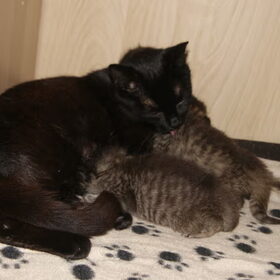 mama & kids