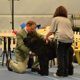 Hondenfoto van Natascha en bono