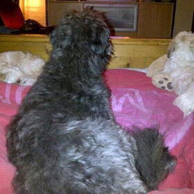 Oudje Floortje mag ook even lekker op bed.. Helemaal in haar…