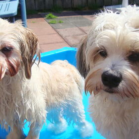 Deva en Sammy