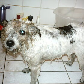 tja, als je zooo vies wordt, is het daarna ff afzien in de douche