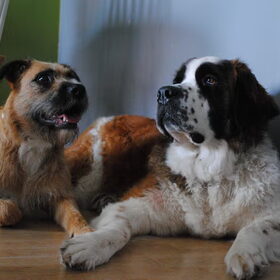 Fennah & Larah