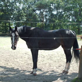 Ouverture die heeft vanaf zaterdag wat reiki gekregen en voelt…