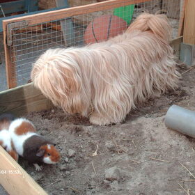 Luna houdt de dames ook goed in de gaten.