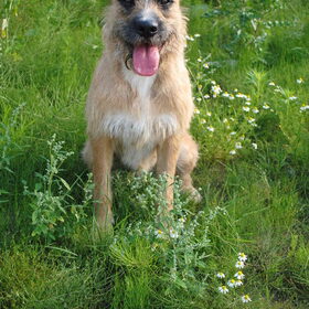 Fotoshootje Fennah