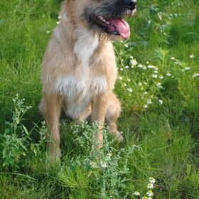 Fotoshootje Fennah