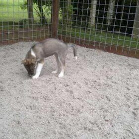 Kiana 8weekjes