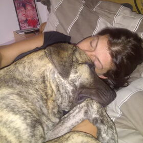 Hondenfoto van den,naat&pup rox