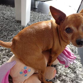 Dit is Roxy...