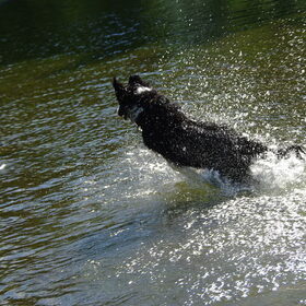 Waterpret!