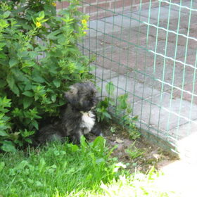 kijk es!