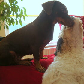 Liefde is, knuffelen!