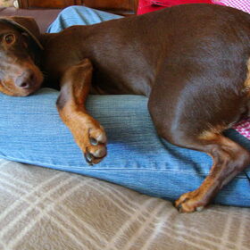 Camila standje relaxt!