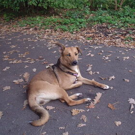 Mila in de herfst(10 maanden)