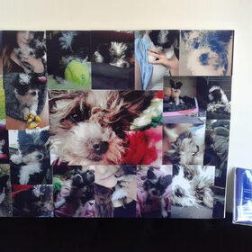 zelf gemaakte foto collage op een schilderdoek voor op mn kamer…