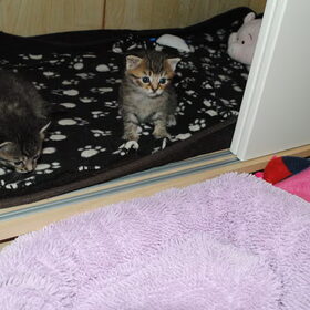 Broer en Zus - 3 weken oud -