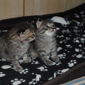 prachtige Zus & Broer