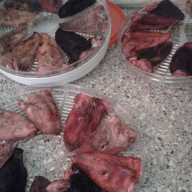 Lamsoortjes op de droger
