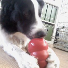 Roos met haar kong