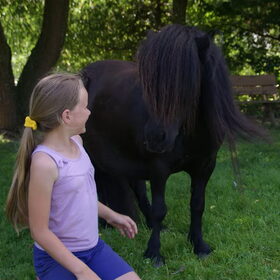 Hondenfoto van Tamara,Kallista & Marcel, Hercule †, Yordi †