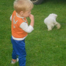 Hondenfoto van anja jordy ivan tim en ons hondje simba <3  <3