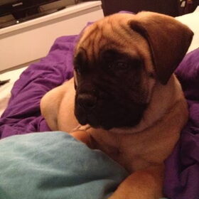 M'n schattie