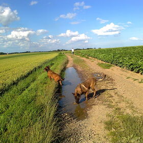 Kylie, Zora en Henk, Juli 2012