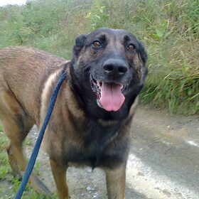Lieve, lieve Zora !