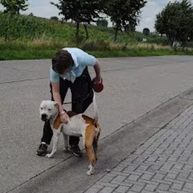 Lieve Beau vindt een knuffel ook zo leuk !!