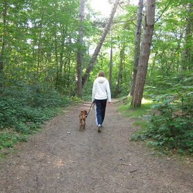 Voor het eerst naar het bos. Hij mocht niet los en het lopen aan…