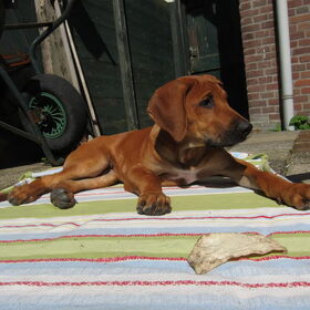 Buiten chillen