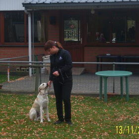 Hondenfoto van Melissa  ~Angel & Kylan~