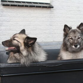 Samen mee met de fiets.