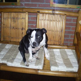 Ons prinsesje Jessy